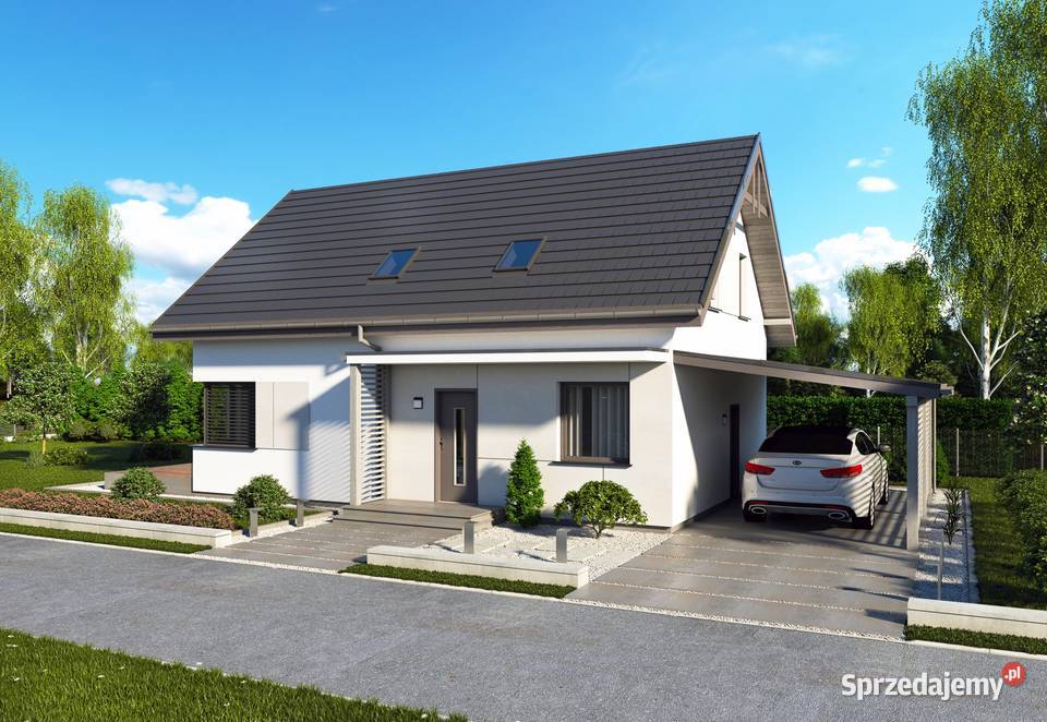 Budowa Nowoczesnych domów szkieletowych Duże Warszawa