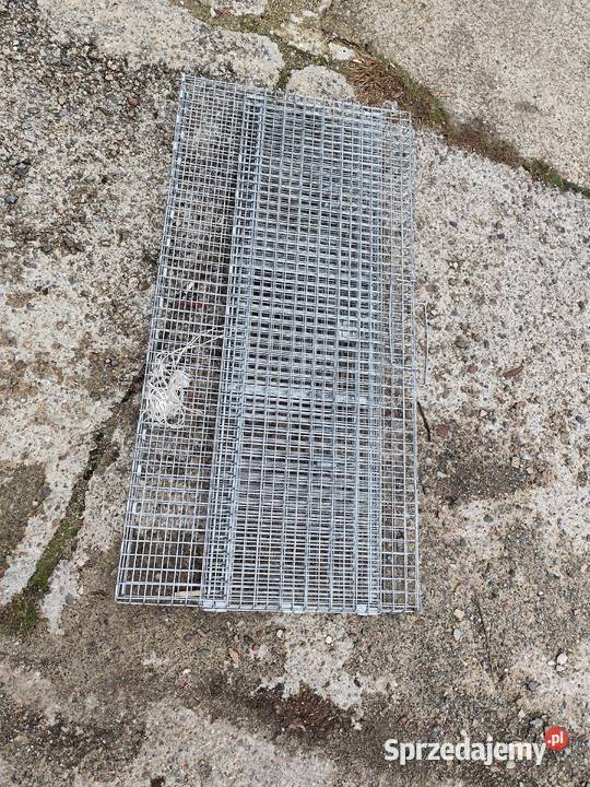 metalowa klatka pułapka na koty Mosty