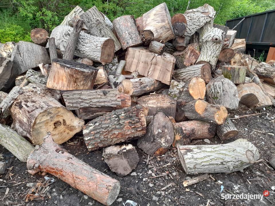 Drewno z wycinki śląskie Chorzów