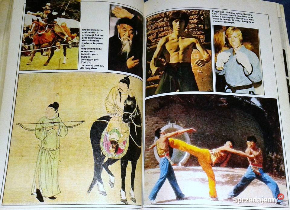 Tajemnice Kung Fu Marian Butrym Wisława Orlińska Chełm