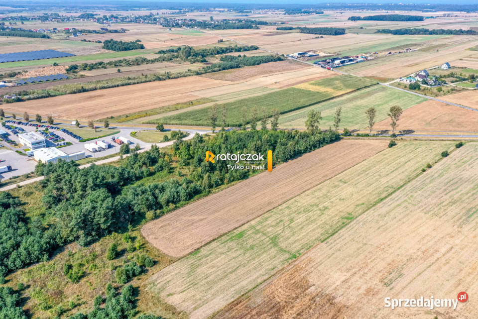 sprzedaży gruntu 9632m2 Łebcz Dr Augusta Sprzedaż sprzedam