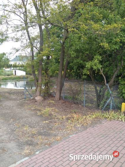 Wyjątkowa nieruchomość w Woli Wierzbowskiej z Wola Wierzbowska