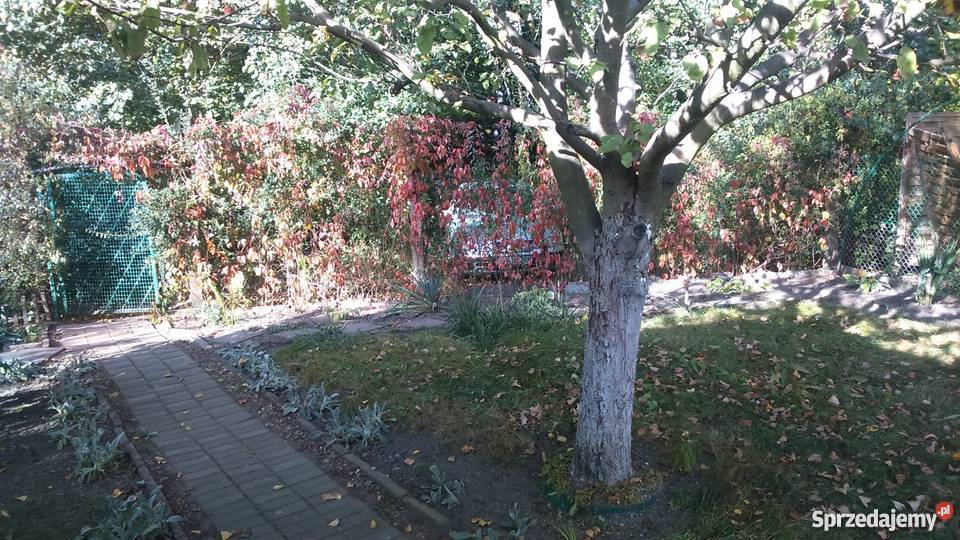 Działka ROD z murowaną altaną Toruń kujawsko-pomorskie