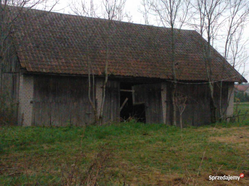 SIEDLISKO WARMIA I MAZURY GOŁDAP NASUTY woda Grunty i działki Nieruchomości warmińsko-mazurskie