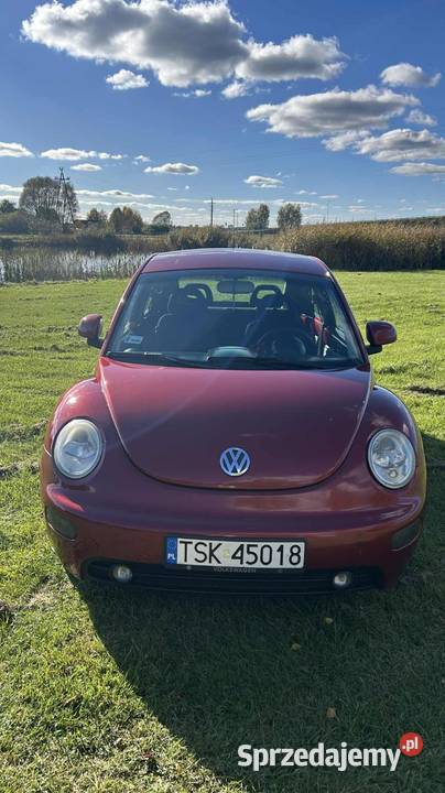 VW Beetle Garbus czerwony Bydgoszcz