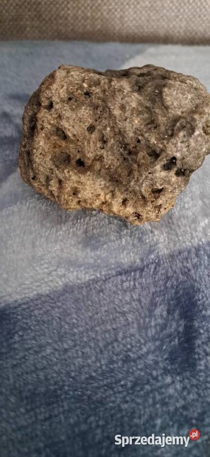 Meteoryt Niepoględzie