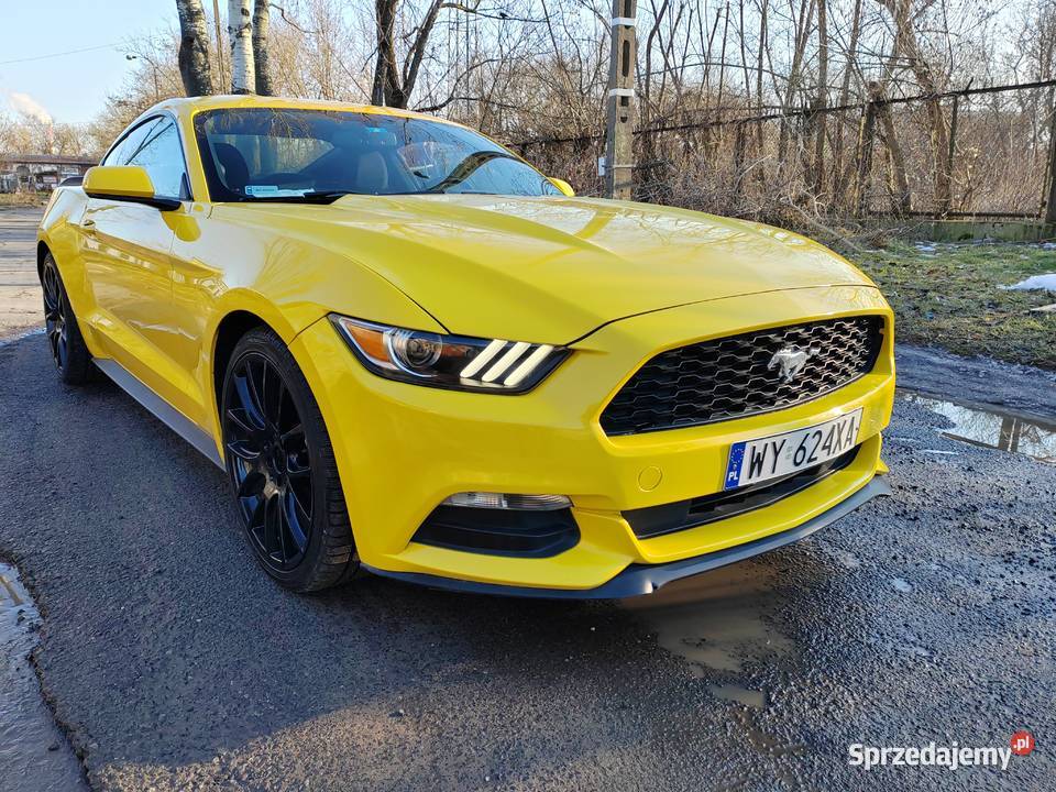 Ford mustang 37 Warszawa