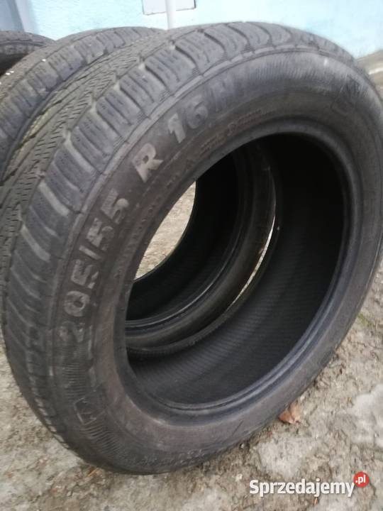 Opony zimowe Semperit Speed Grip 2055516 Wrocław