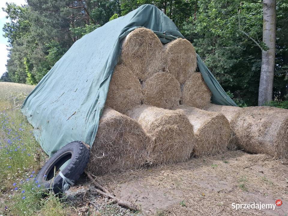 Sprzedam słomę belki 120 Trawy, słoma Dobre