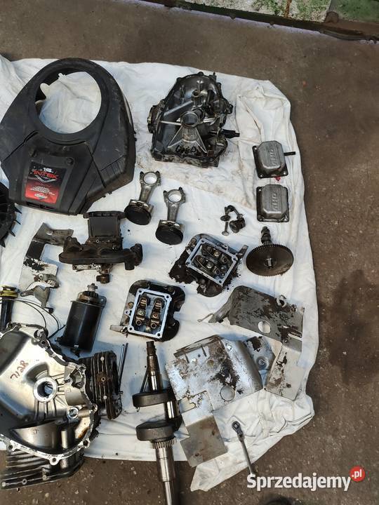 Wał korbowy silnika Briggs Stratton intek 16 Wiele