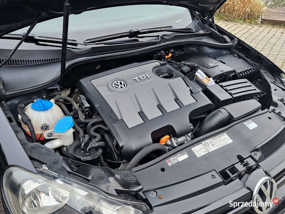 VW GOLF VI 16 TDI 105 Common rail WERSJA MATCH Golf warmińsko-mazurskie Jonkowo