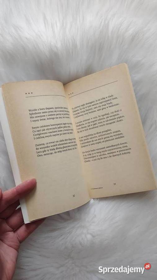 Poezja Bolesław Leśmian Cudotwórcy Miłosne miękka Olkusz