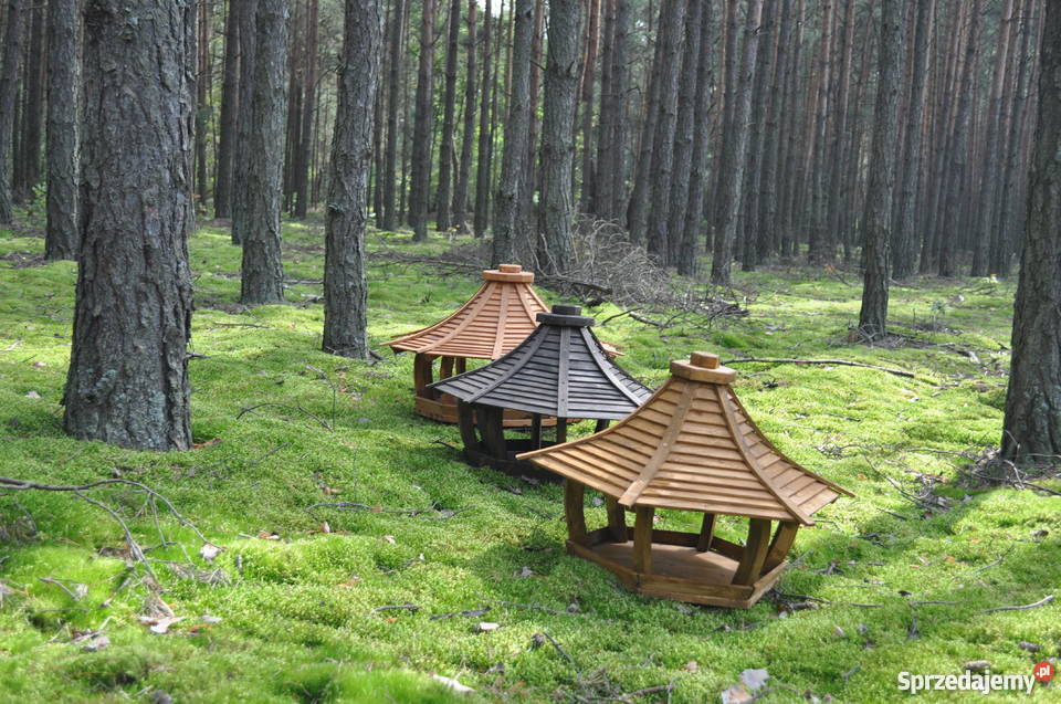 Karmniki ptaków Mogielnica