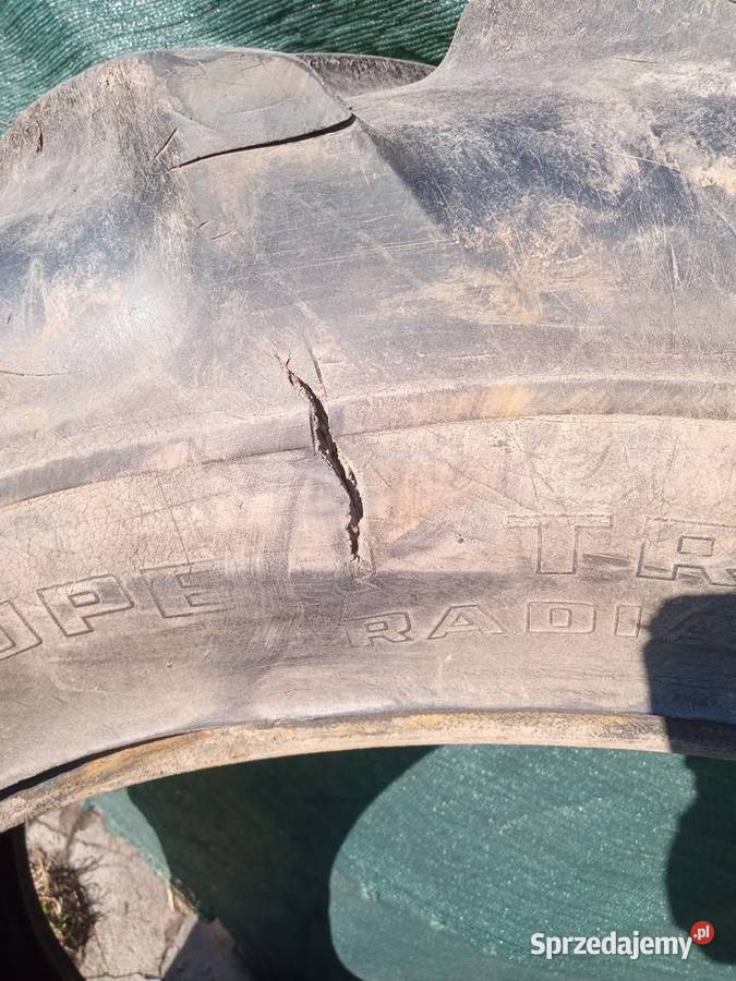 Opony 124x36 Złotniki Kujawskie