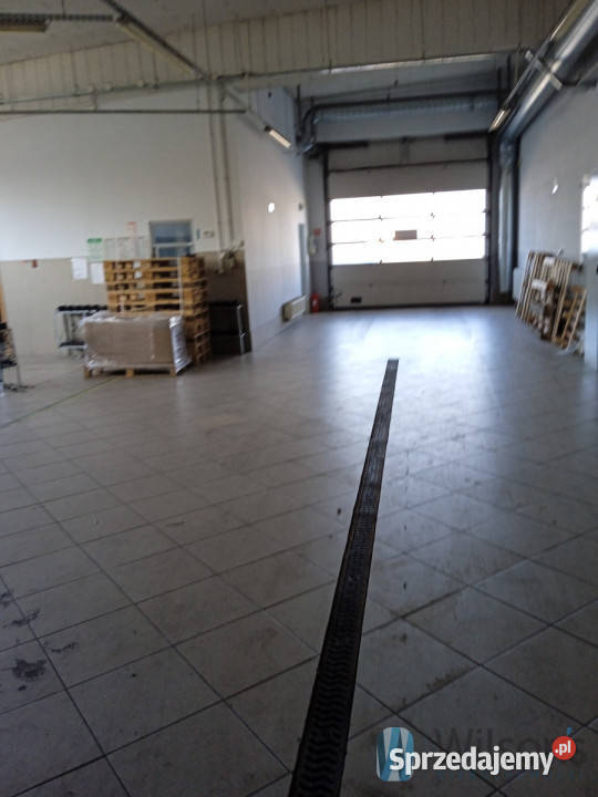 Do wynajęcia lokal 360m2 Radom Warszawska
