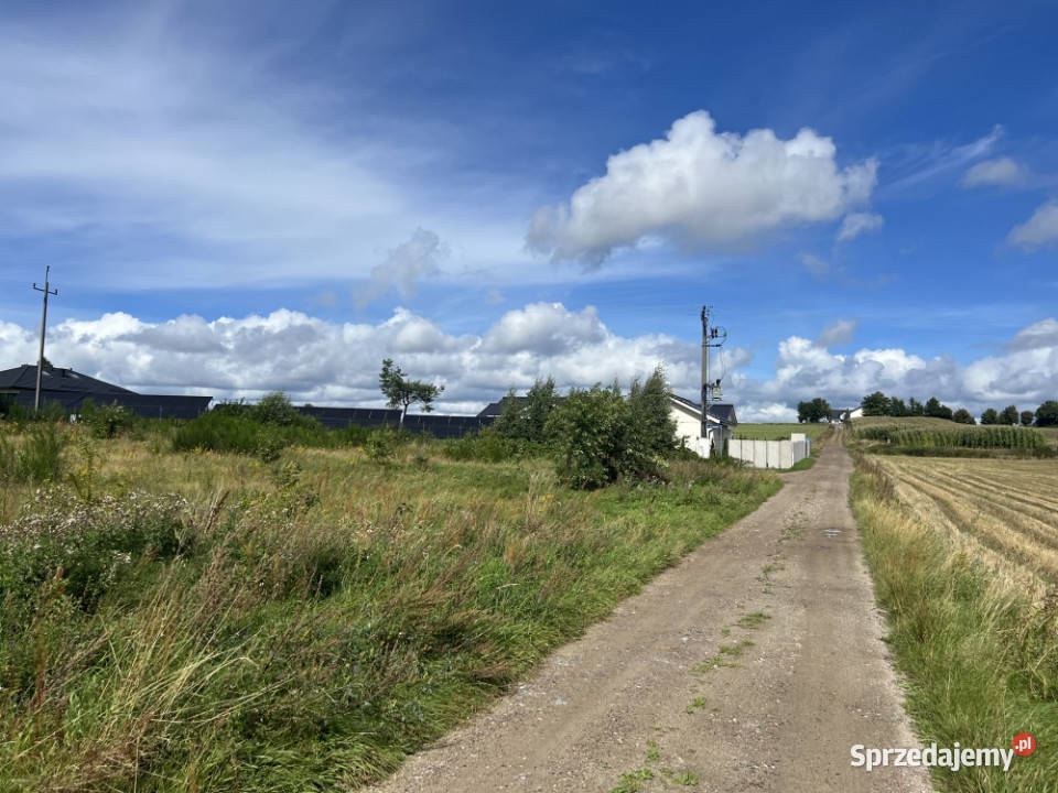 Działka siedliskowa 3 003 m z prawem zabudowy pomorskie Sopieszyno sprzedam