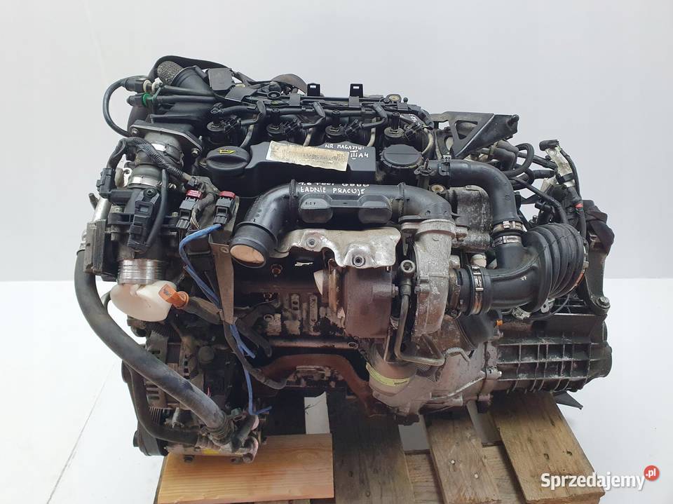 SILNIK KOMPLETNY Ford C C 16 TDCI 109 sprawny