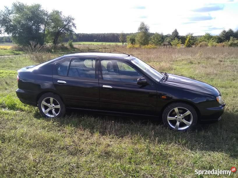 Подвеска nissan primera p11