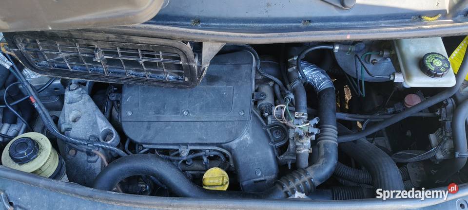 Zdrowe Vivaro Nowe Kiejkuty