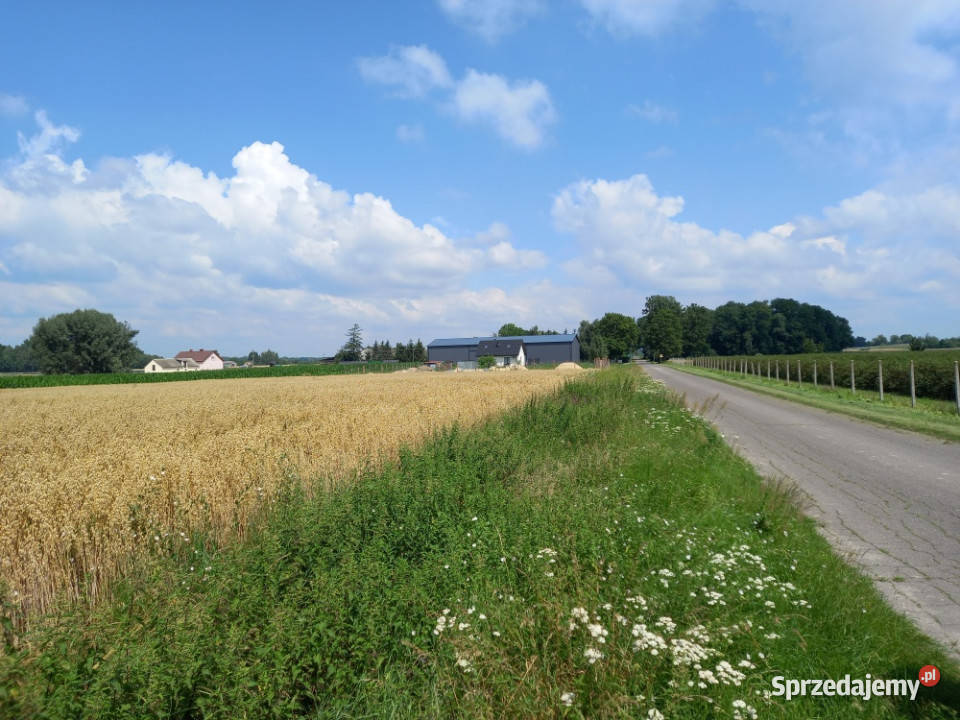 Sprzedam działkę rolnobudowlaną w okolicy mazowieckie Płońsk