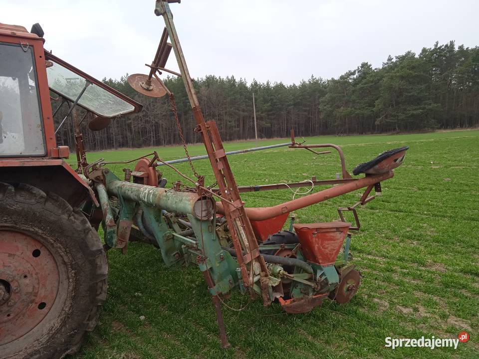 Siewnik do kukurydzy 6 rzędowy Nodet Pneumasem 2 Szynkielów
