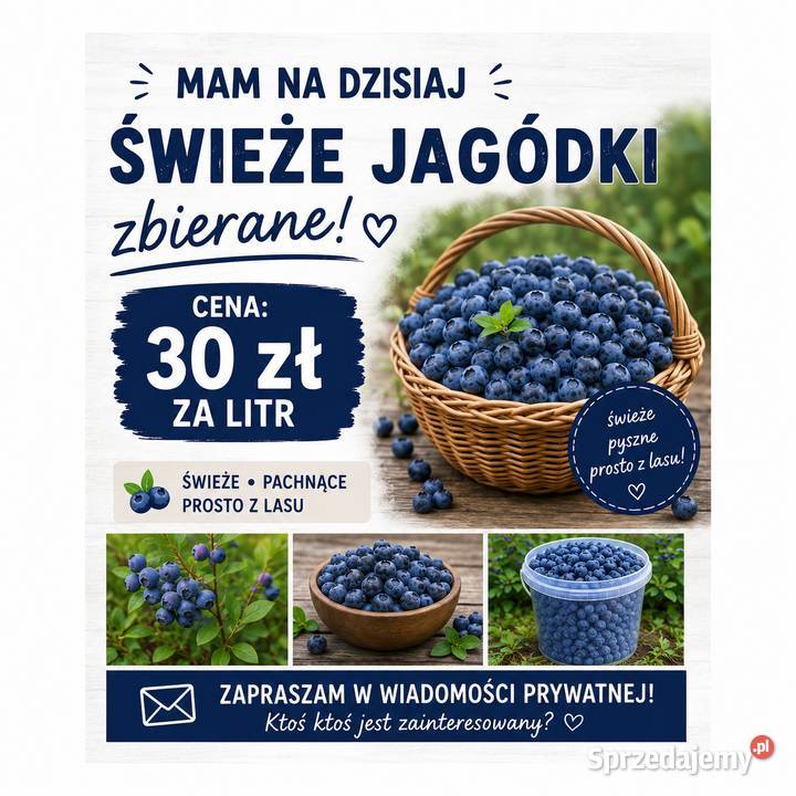 Jagody sprzedam