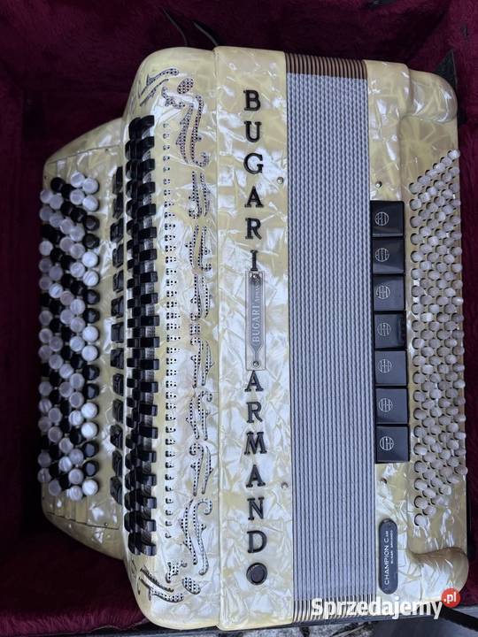 Bufari Bialy Biała Podlaska sprzedam