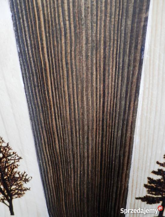 Obraz czarnobiały ręcznie wykonany Motyw LAS Szczecinek