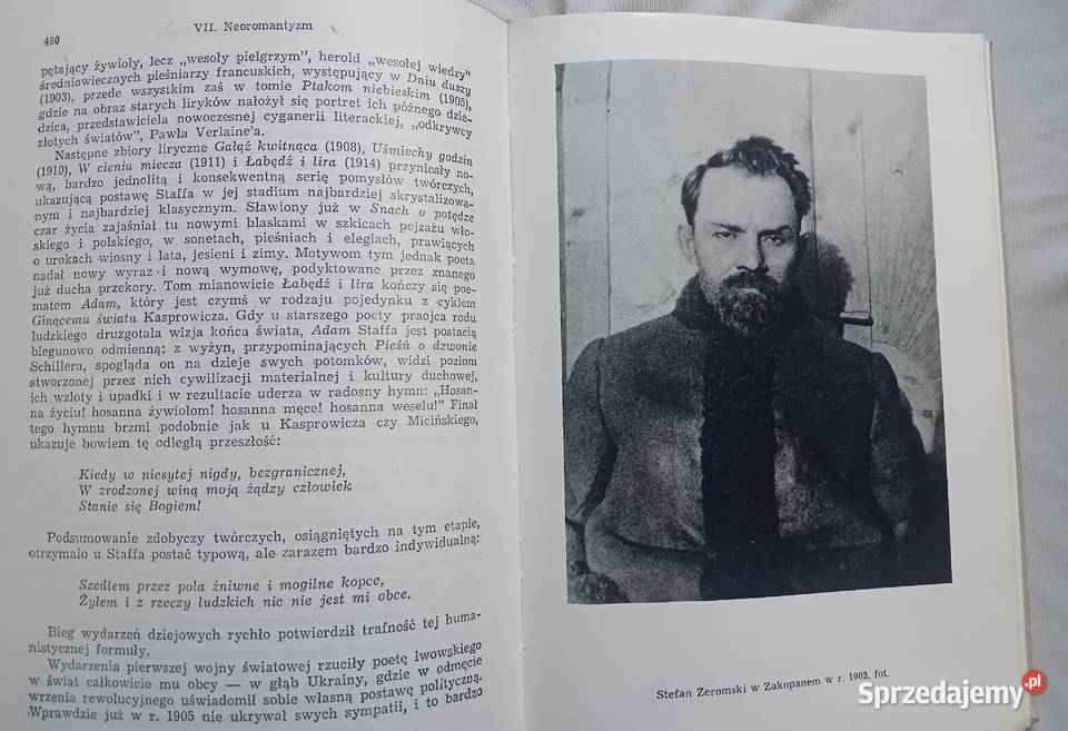 Julian Krzyżanowski Dzieje literatury polskiej Koźminek sprzedam