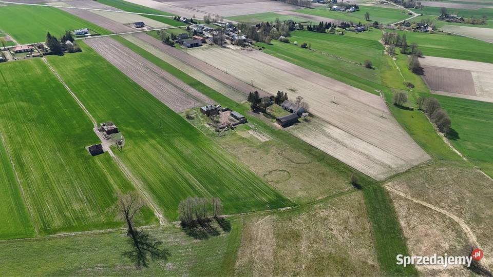Sprzedam siedlisko Leśnica