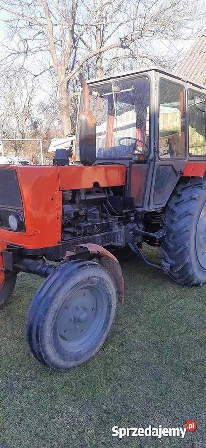 Białoruś jumz Rozkoszówka