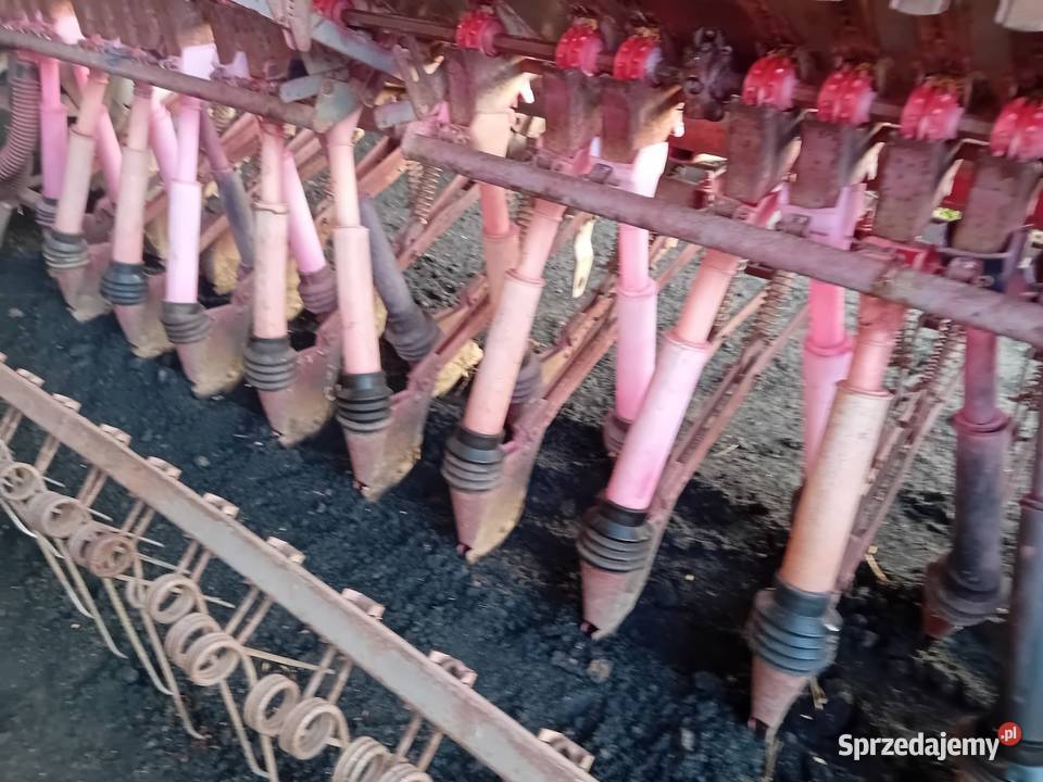 Sprzedam siewnik Poznaniak w stanie Łowicz