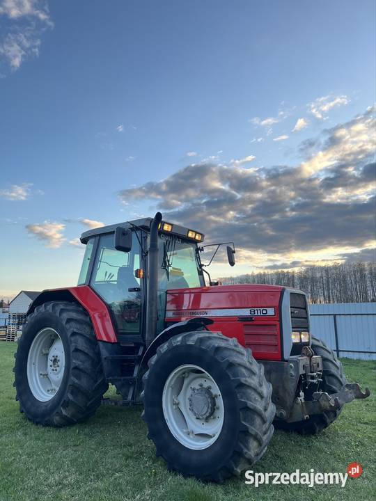 MASSEY FERGUSON 8120 mazowieckie Zbuczyn