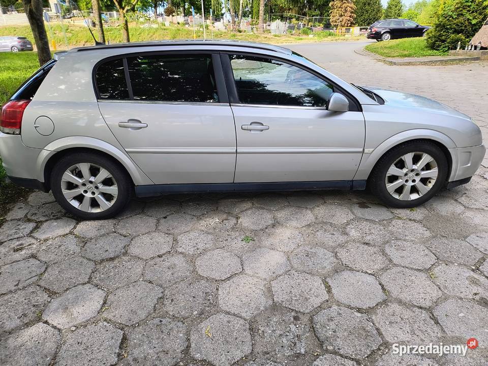 Opel Signum 19 CDTI 2004r