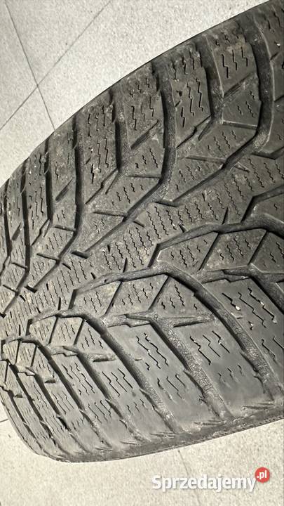 Opony zimowe 2 sztuki Nokian WR D4 20555 R16 91T Continental