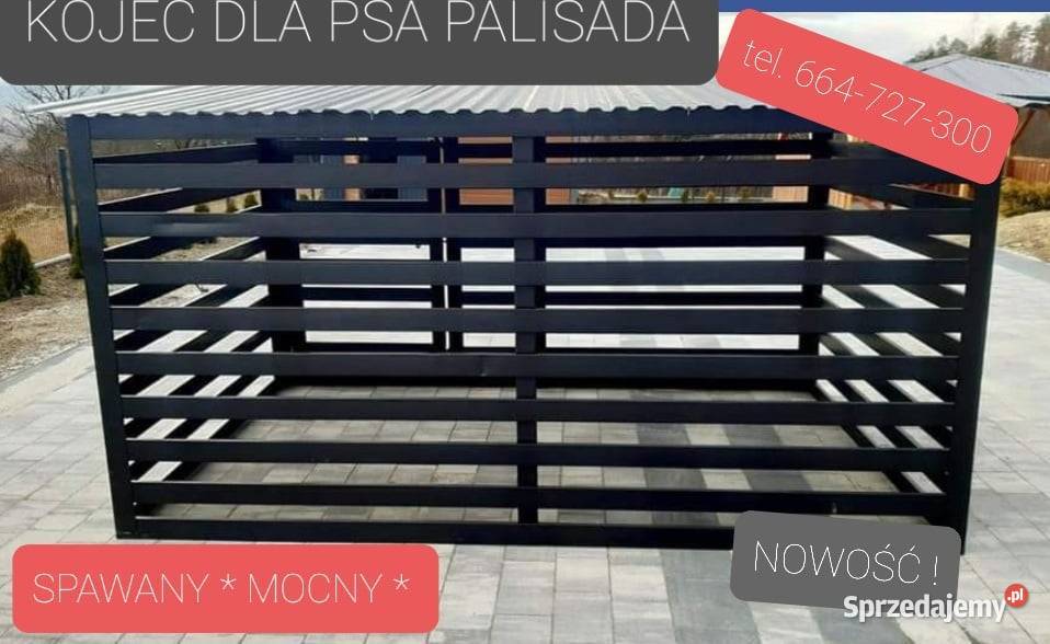 KOJEC PSA ZAGRODA PSA KOJCE NA WYMIAR PRODUCENT Warszawa