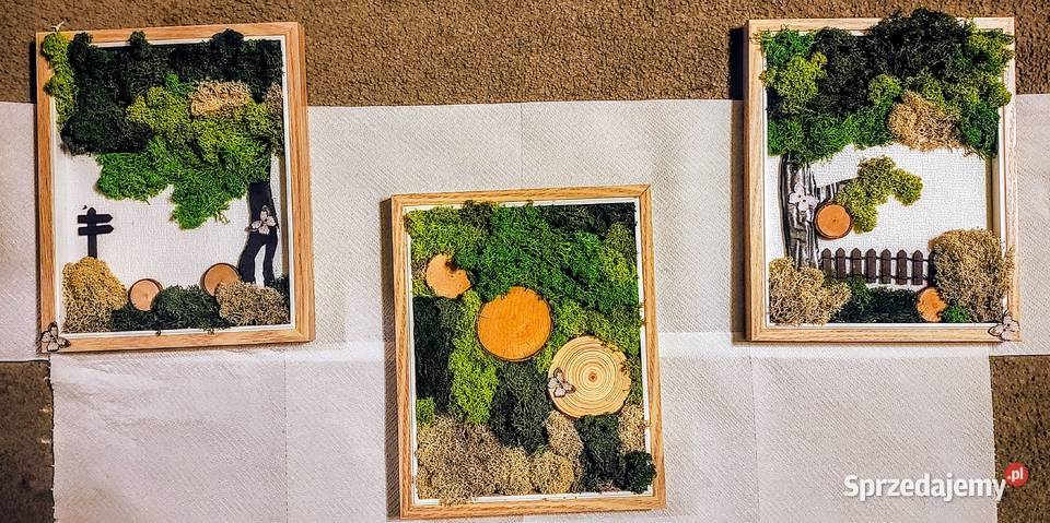 Zielono mi Tryptyk z mchu Obrazy wykonane z pomorskie Ustka