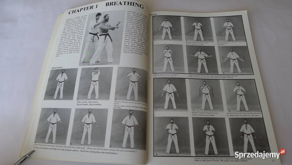 Cook Power Karate t III 1985 Oyama ArneilFitkin Radom sprzedam