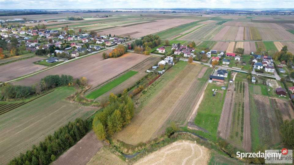 Grunt Obsza 4438m2 Sprzedaż