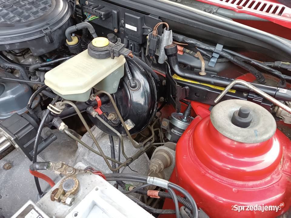 Ford Fiesta MK3 13 60 CLX automat Radzyń Podlaski