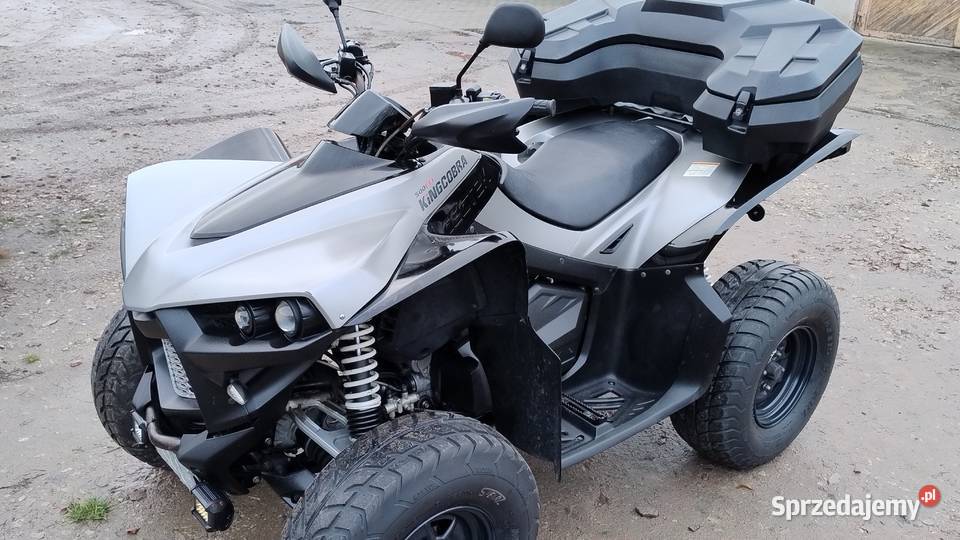 Cectek 500 4x4 dok Access Sym Goes Kayo Quady CECTEK CECTEK Nowy Dwór Mazowiecki