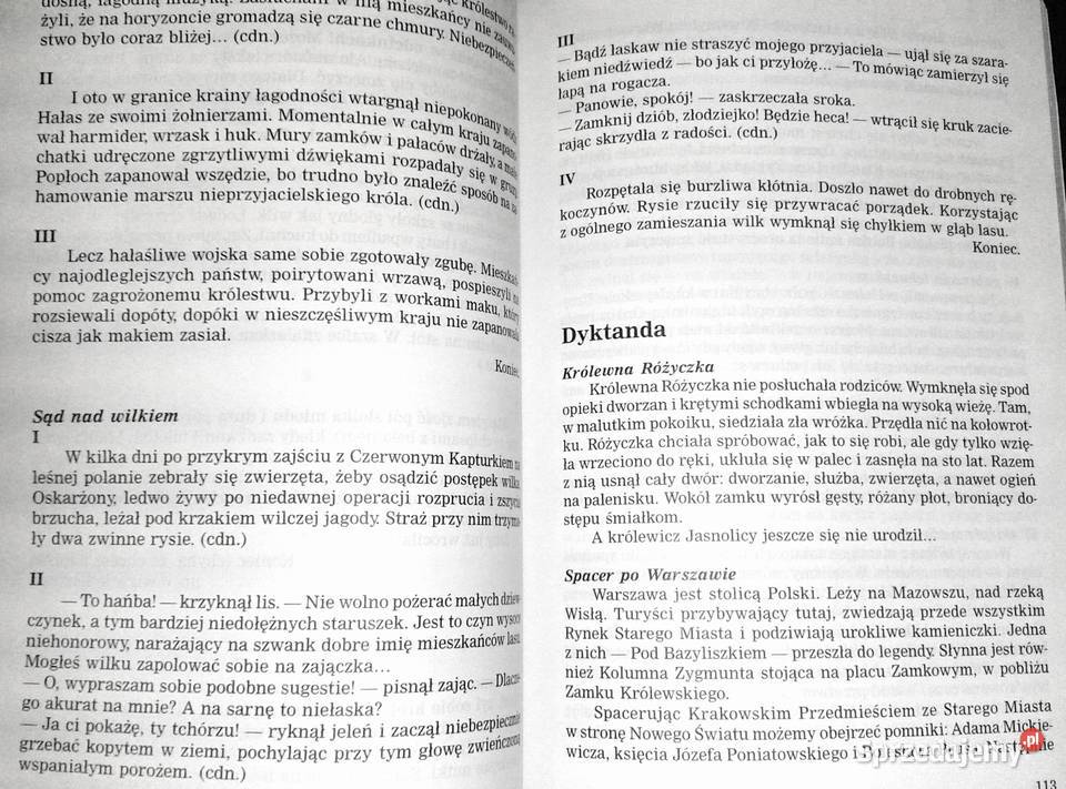 Dyktanda i zabawy ortograficzne Kl 456 Barbara Książki i Podręczniki Chełm