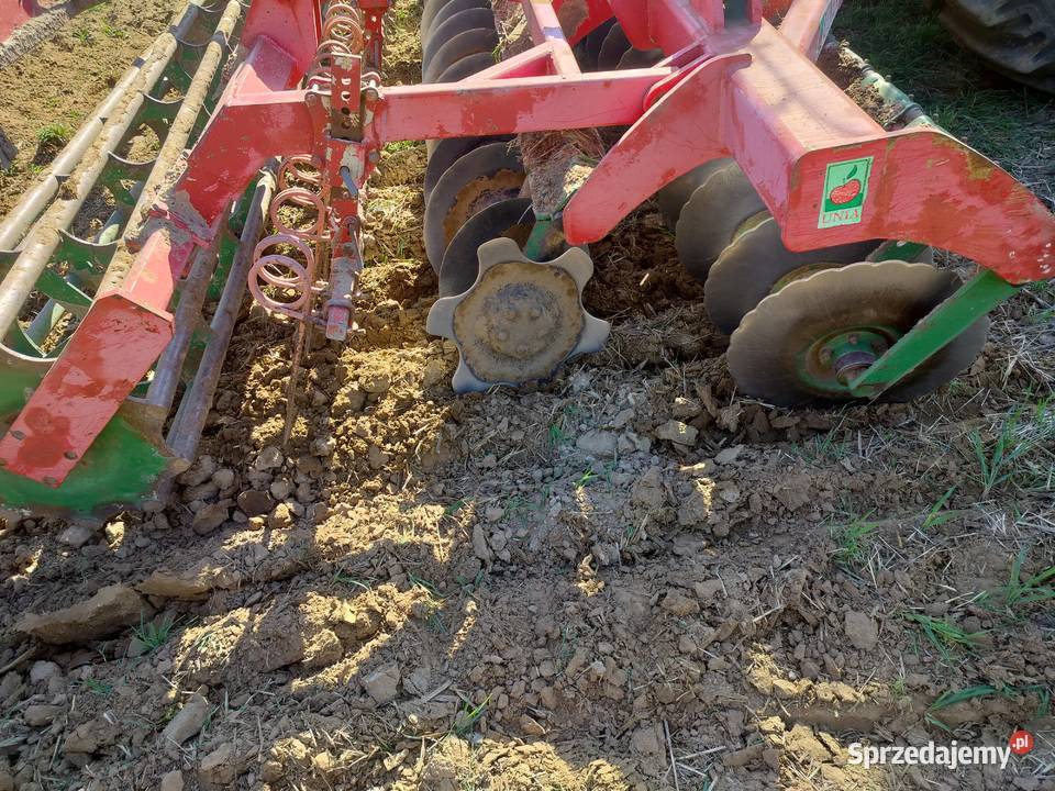 Talerzówka 45 metra kujawsko-pomorskie Aleksandrów Kujawski