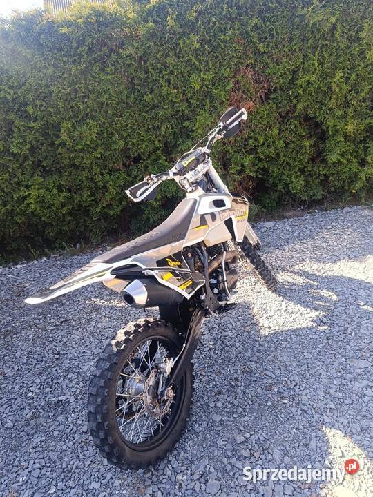 Diabolini x 5 250 25 małopolskie Jabłonka