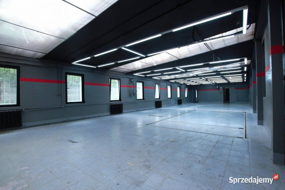 Lokal Kielce 230m2