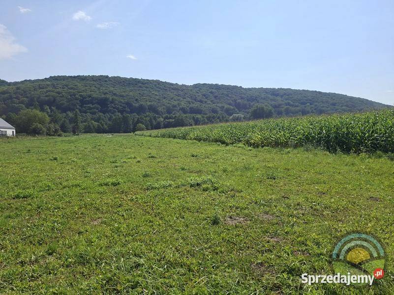 Niegoszowice gm Zabierzów płaska działka 4407 m2 małopolskie