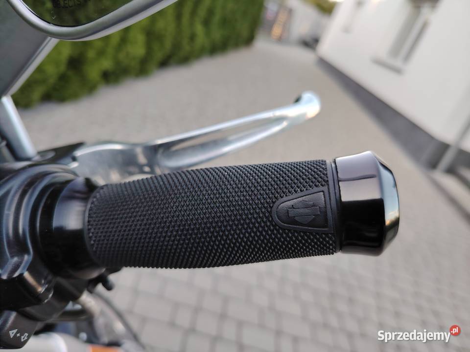 Harley davidson vrod muscle Szprotawa