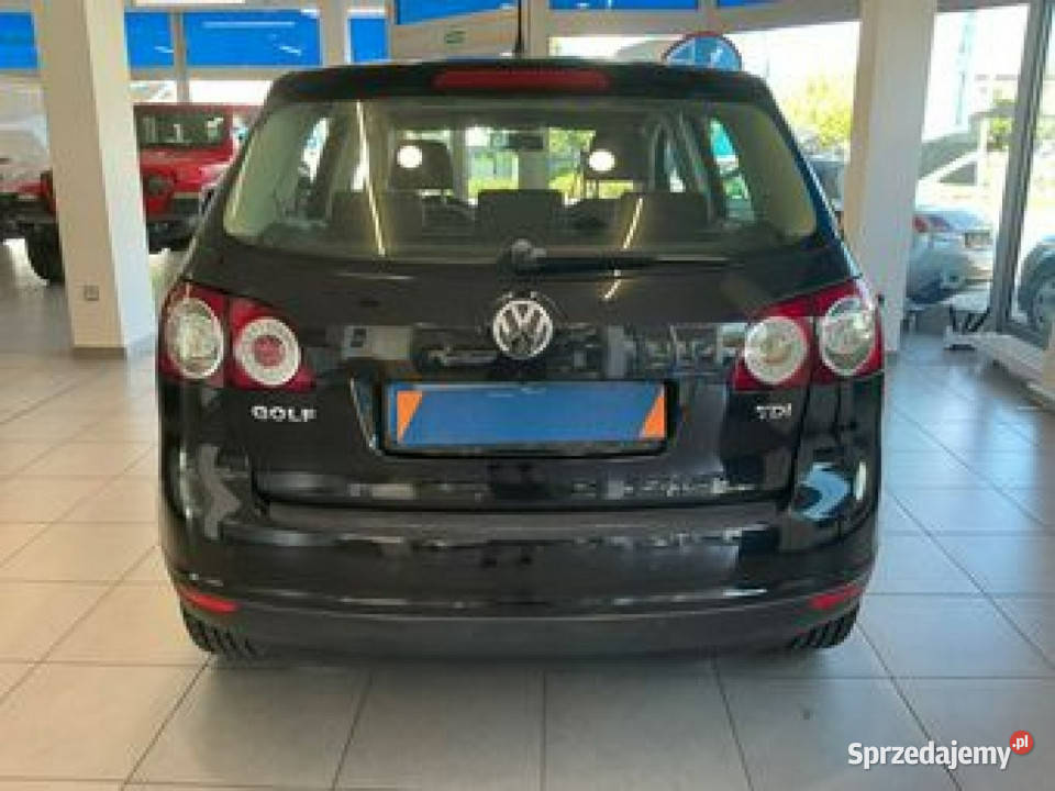 Volkswagen Golf Plus 16 Mpi 102 Comfortline nieuszkodzony Cieszyn