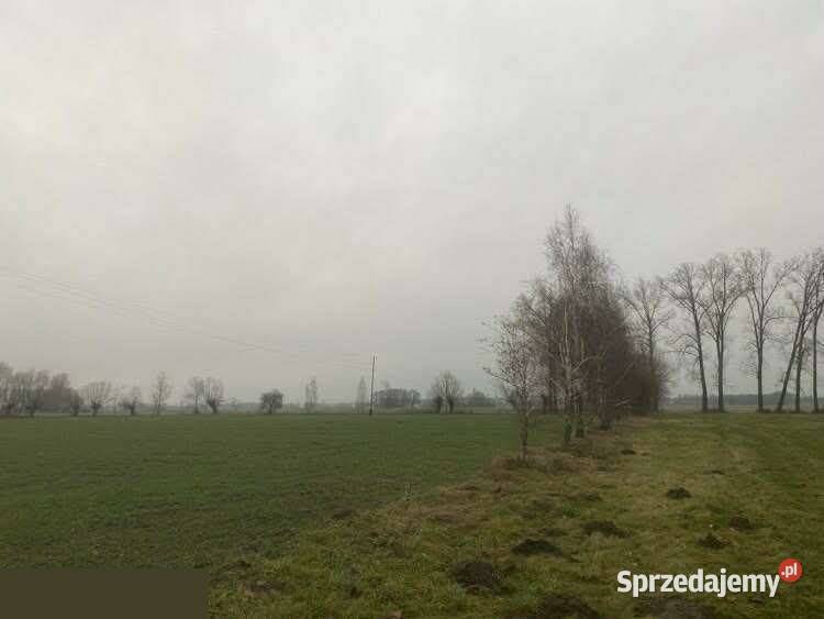 Sprzedam działki budowlane w Dzierawach Koło 1016m2 wielkopolskie Dzierawy