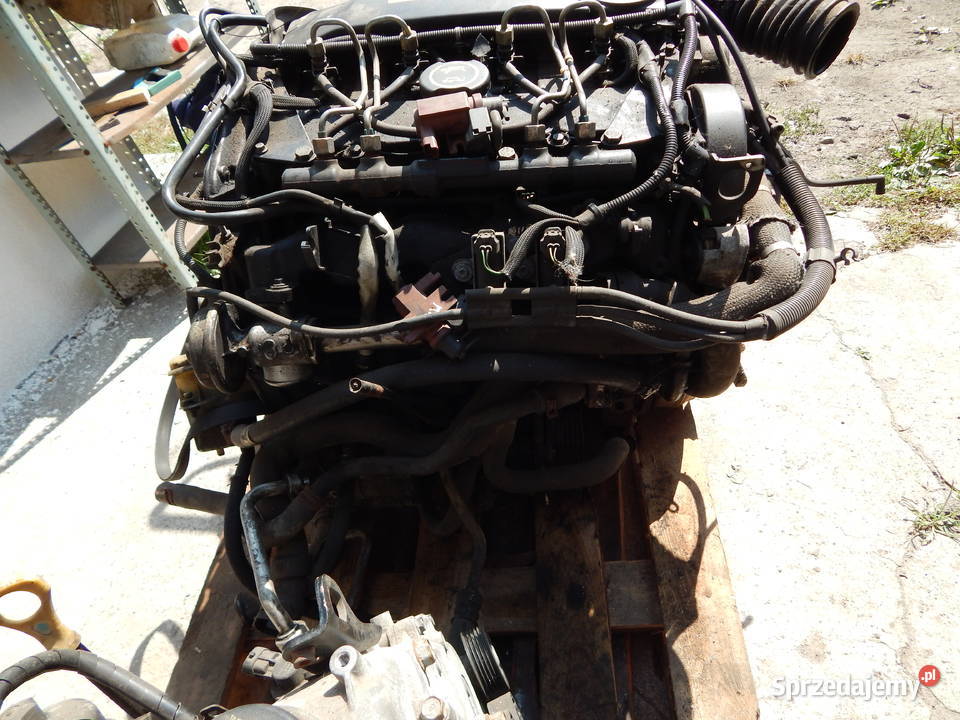 SILNIK FORD MONDEO MK3 20 TDCI DURATORQ CD132 Motoryzacja Warszawa sprzedam